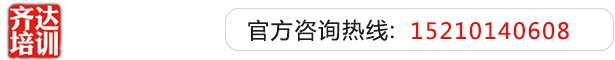 www.逼插com齐达艺考文化课-艺术生文化课,艺术类文化课,艺考生文化课logo